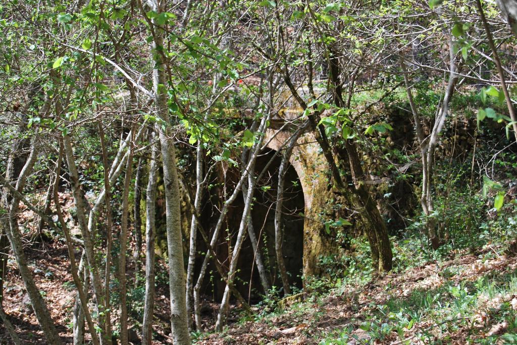 Casa Rural La Cuadraa Linares de Riofrío Eksteriør bilde