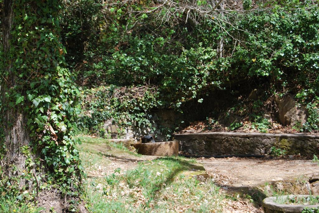 Casa Rural La Cuadraa Linares de Riofrío Eksteriør bilde
